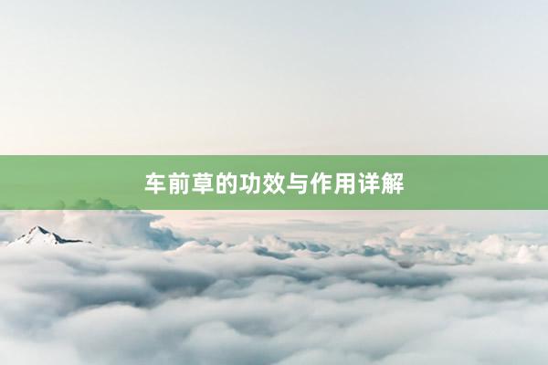 车前草的功效与作用详解