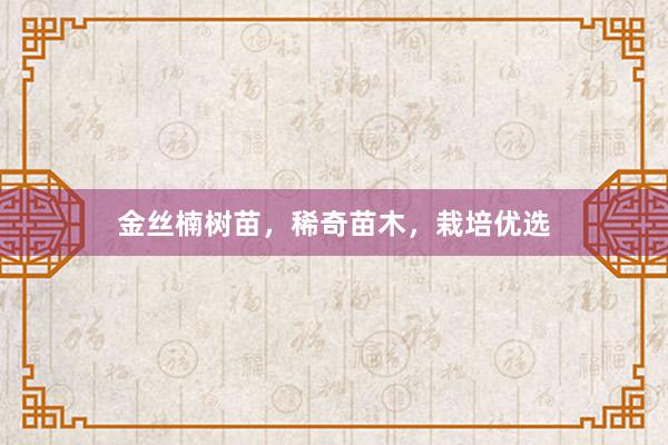 金丝楠树苗，稀奇苗木，栽培优选