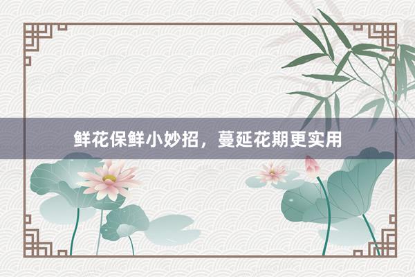 鲜花保鲜小妙招,蔓延花期更实用