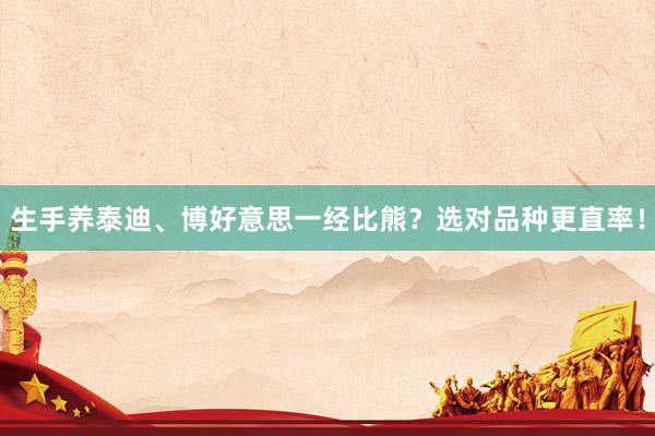 生手养泰迪、博好意思一经比熊？选对品种更直率！