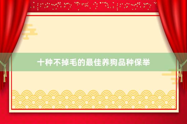 十种不掉毛的最佳养狗品种保举