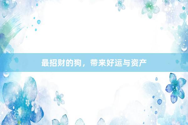 最招财的狗，带来好运与资产