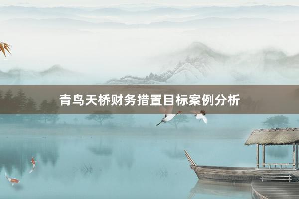 青鸟天桥财务措置目标案例分析